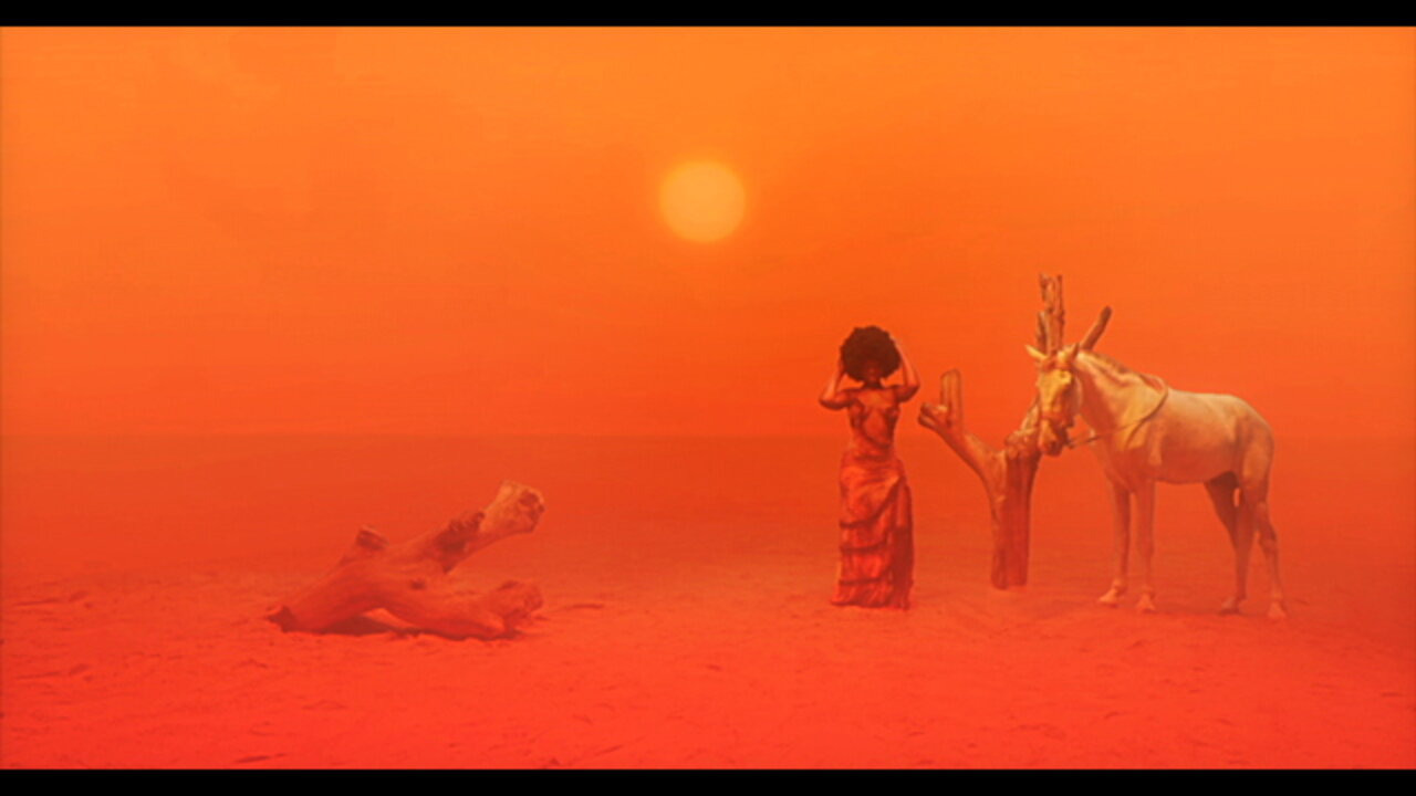 WAHALA (FEAT. OLAMIDE) [Lyric Video]