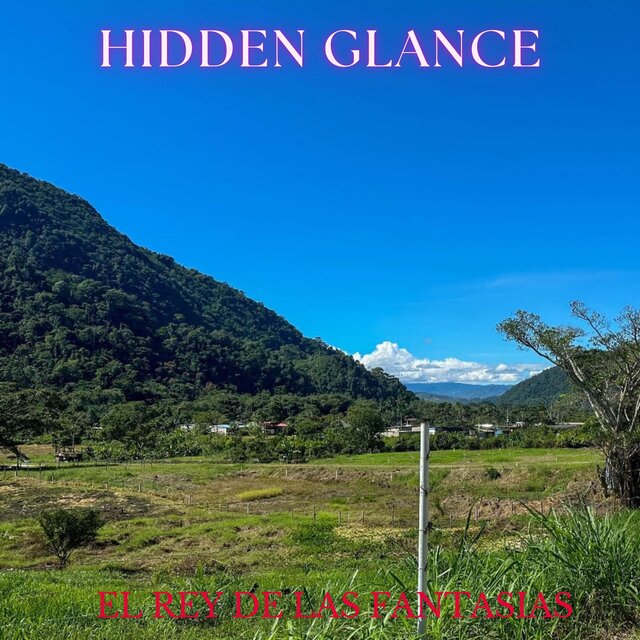HIDDEN GLANCE