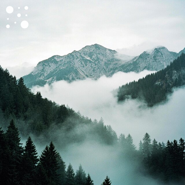 Tranquil Mountain Mist