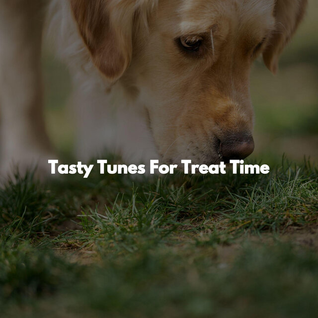 Tasty Tunes For Treat Time