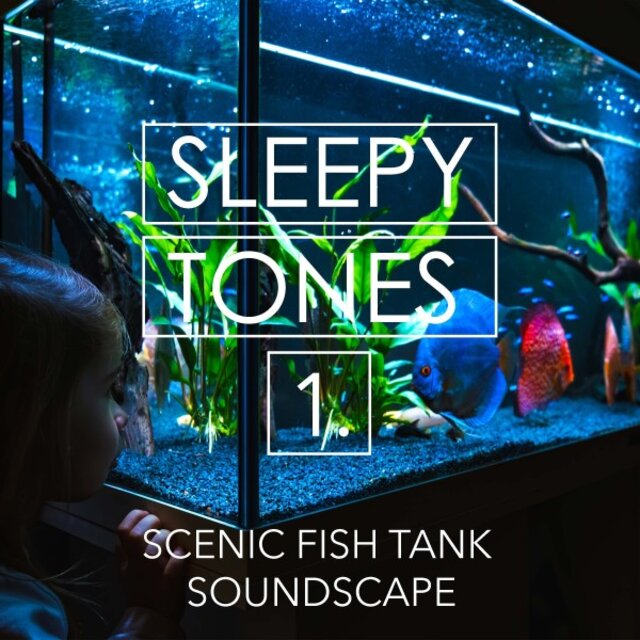 Sleepy Tones: Scenic Fish Tank Soundscape