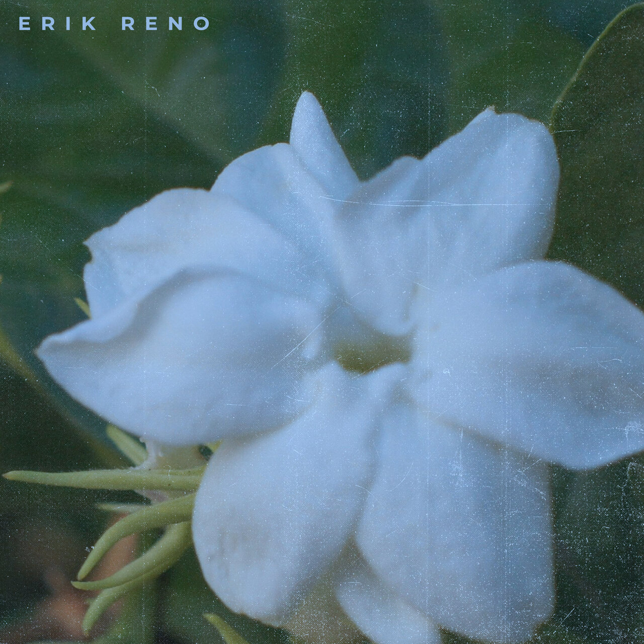 Erik Reno Erik Reno on TIDAL