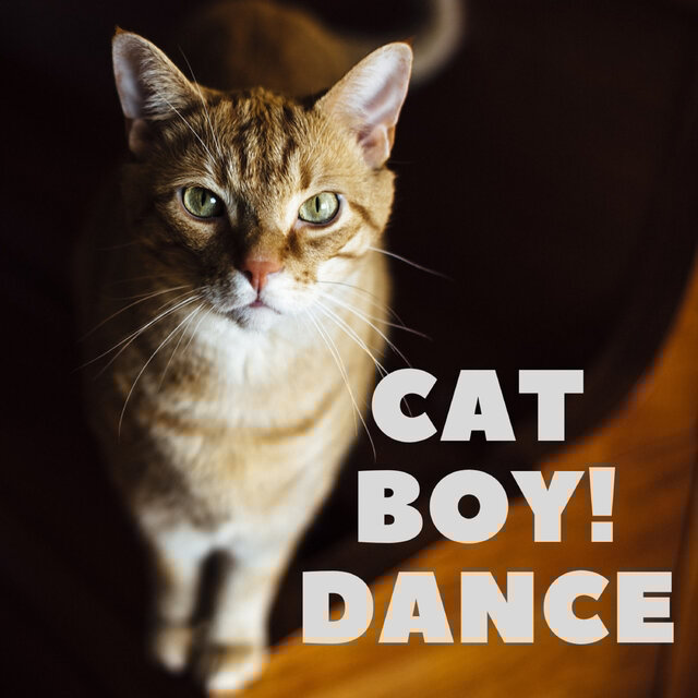 CAT BOY! DANCE
