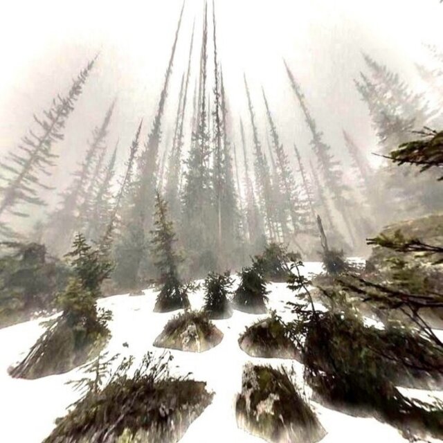 Cold winter