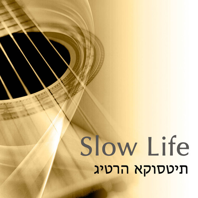 Slow Life גיטרה אקוסטית