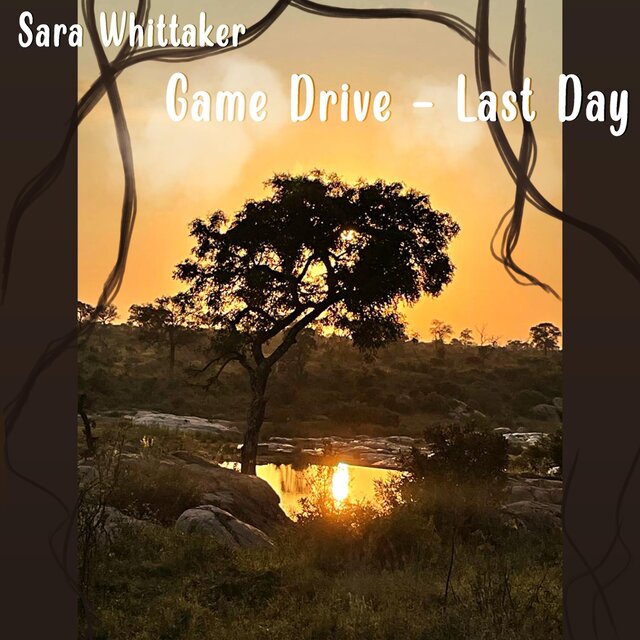 Game Drive - Last Day