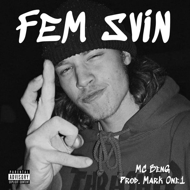 FEM SVIN