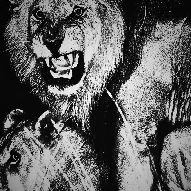 _BLACKMANE