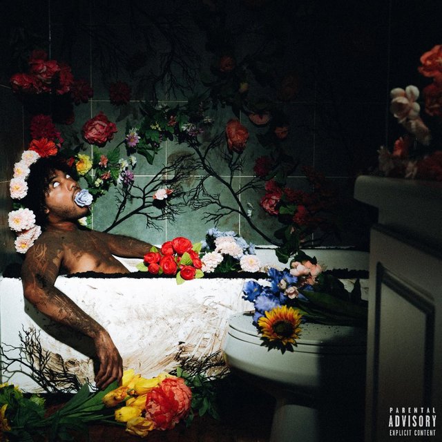 Bloom In A Dark Room