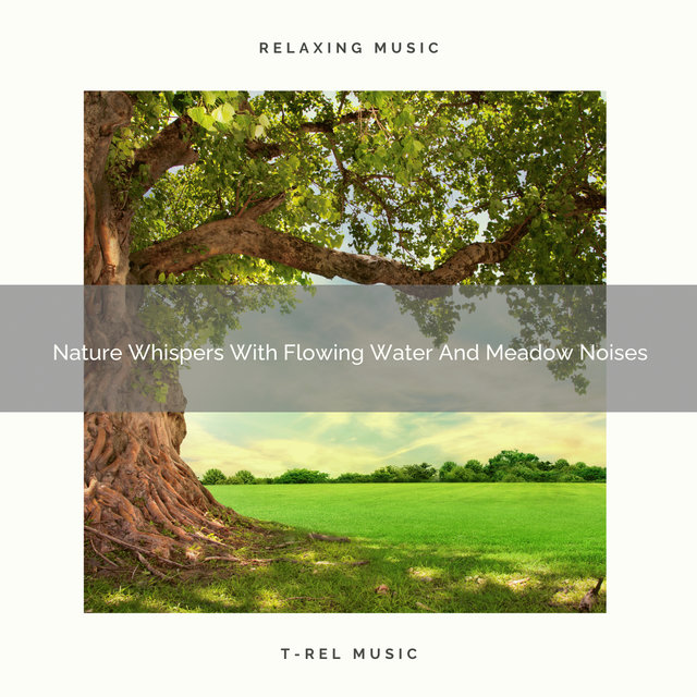 Nature Whispers With Flowing Water And Meadow Noises