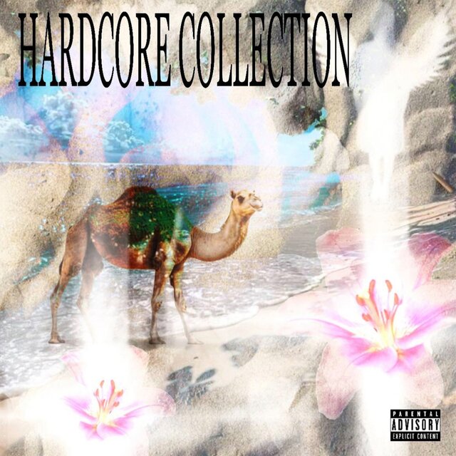HARDCORE COLLECTION