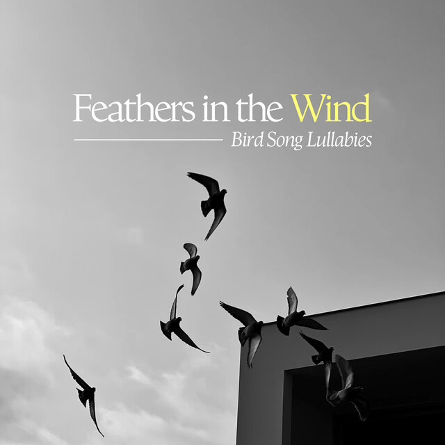 Feathers in the Wind