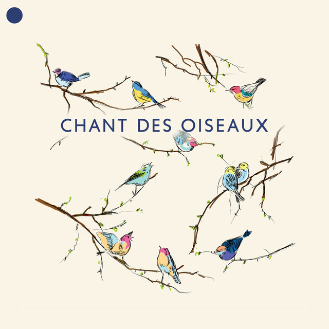 Chant des oiseaux: Calme naturel et thérapie au sein de la nature, Ambiance forêt