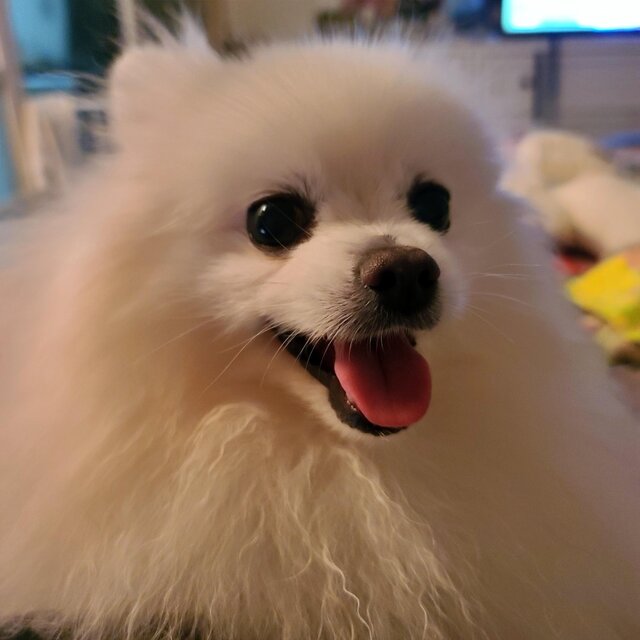 구름이