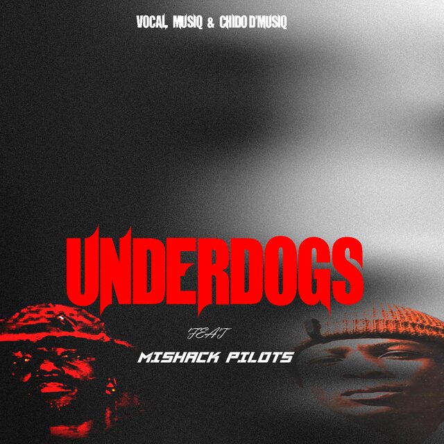Underdogs (feat. CHIDO D'MUSIQ & Mishack Pilots)