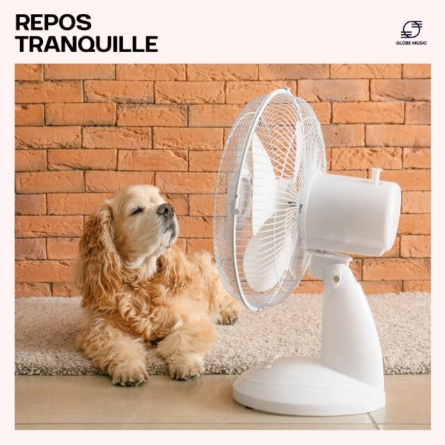 Repos Tranquille: Musique Relaxante pour Animaux