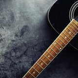 Gentle Guitar Evening Pets