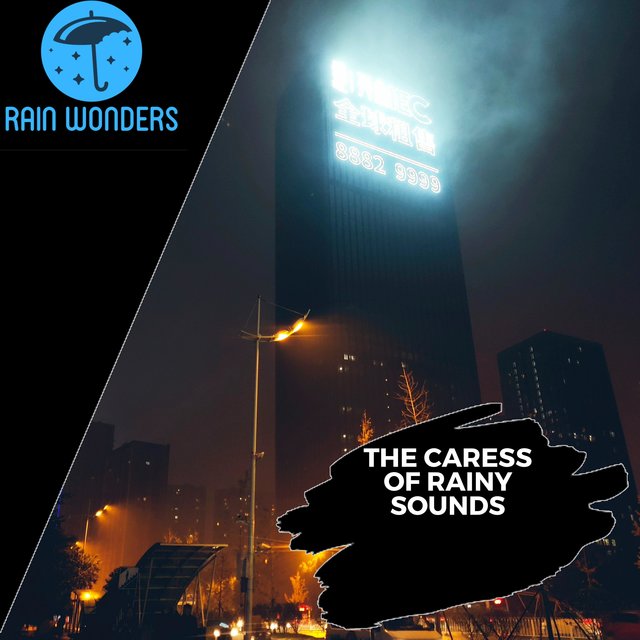 The Caress of Rainy Sounds