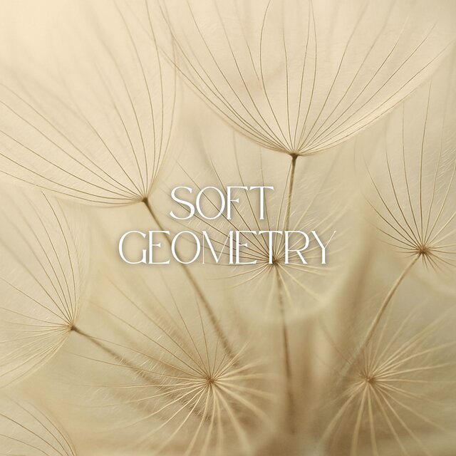 Soft Geometry