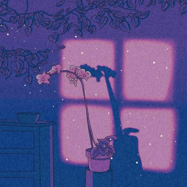 Midnight chill