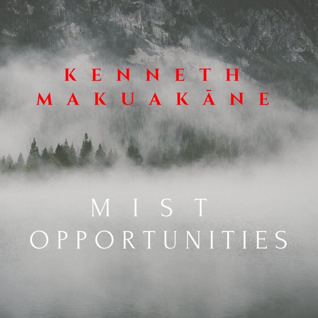 Mist Opportunities