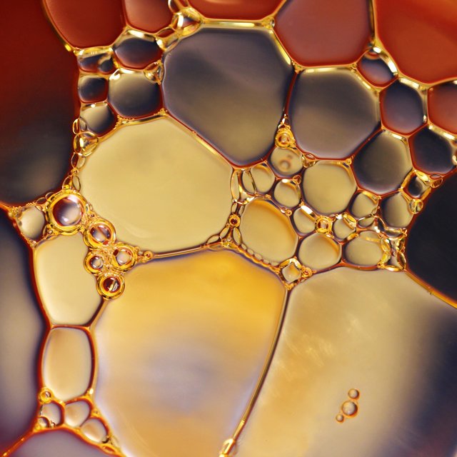 Neogenesis