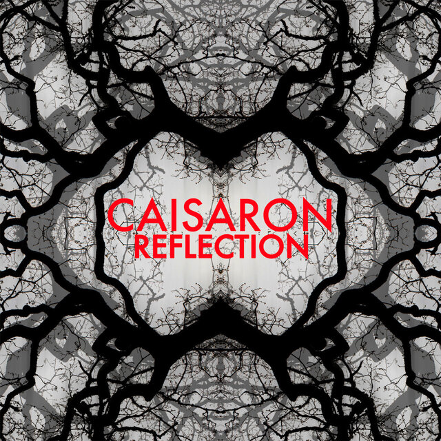 Reflection