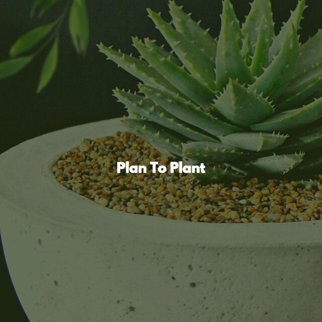 Plan To Plant