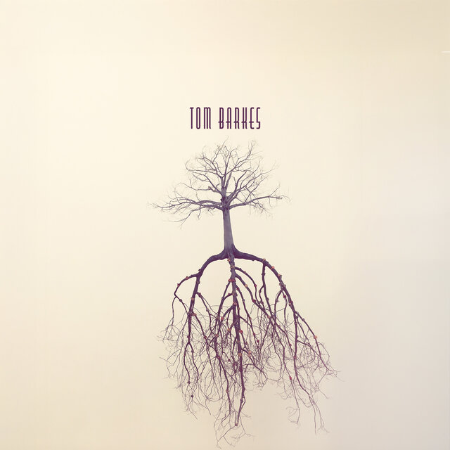 Rooted in Quiet Awareness