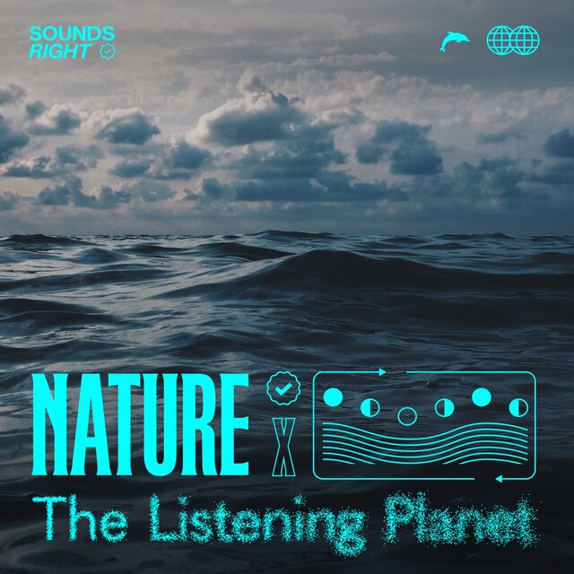 Oceanic Lullabies