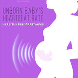 Sixth Month the Baby Already Fetus Position in Womb (110 160 Heartbeat)
