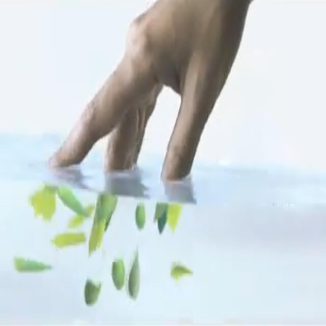 Liquid