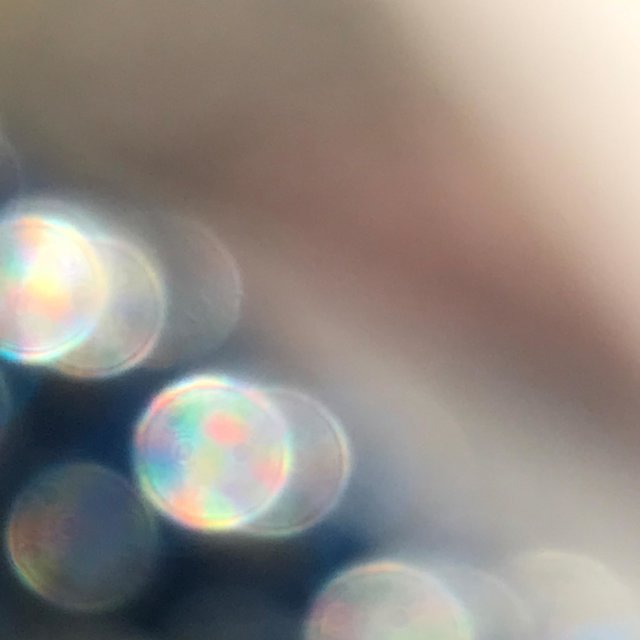 Daydream