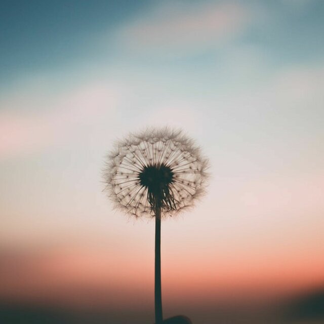 Emotion