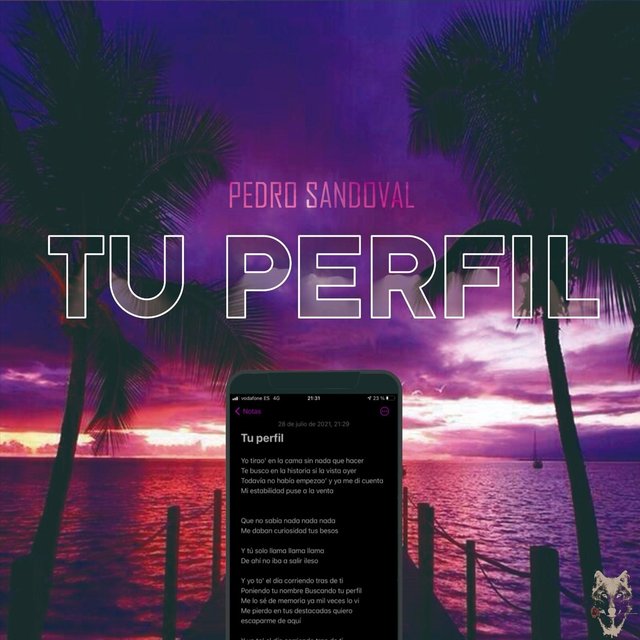 Tu Perfil