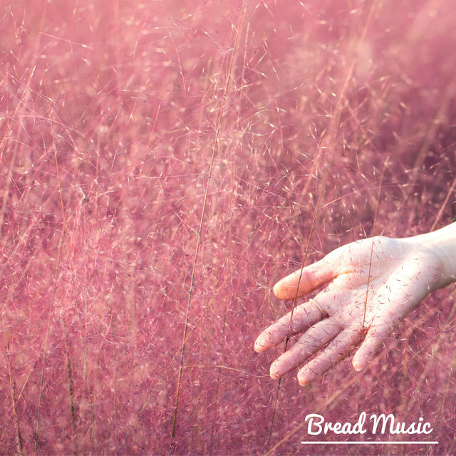 Morning Soft Piano Music. 10 Tracks (Birds Sound) |  Lavenders Linger in the Light