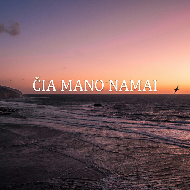Cover art for album Čia Mano Namai by Tavo Muzika