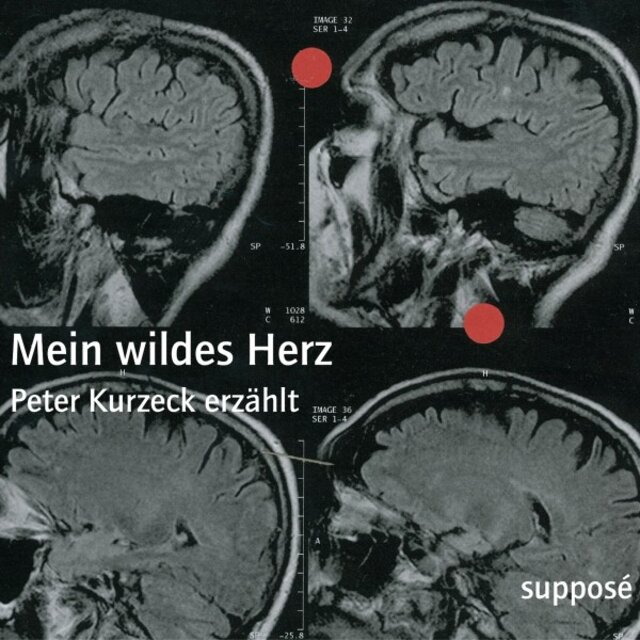 Mein wildes Herz (Peter Kurzeck erzählt)