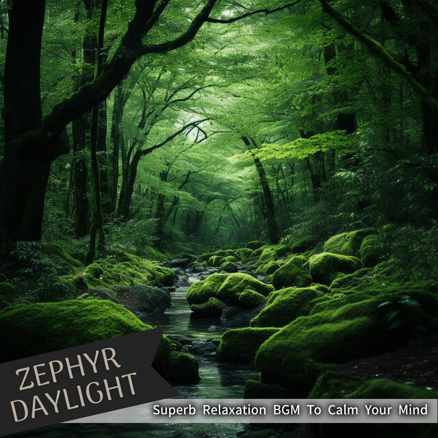 Superb Relaxation BGM To Calm Your Mind