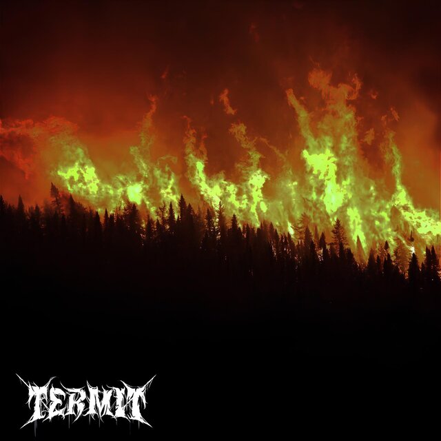 Burning forest