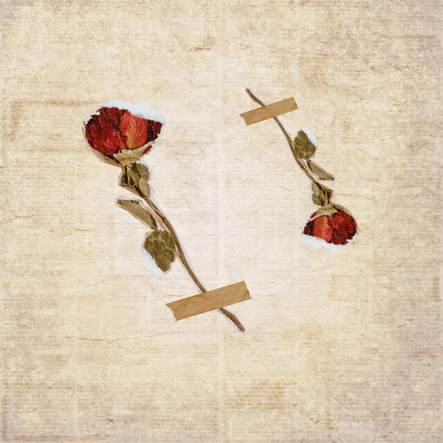 Rosas Falsas