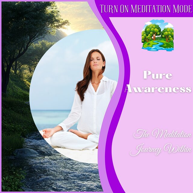 Pure Awareness: the Meditation Journey Within