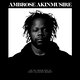 Cover art for album on the tender spot of every calloused moment by Ambrose Akinmusire