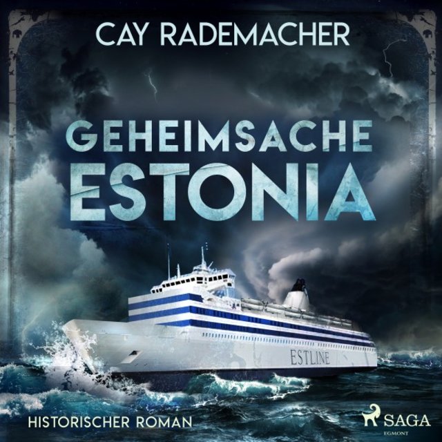 Geheimsache Estonia (Historischer Roman)