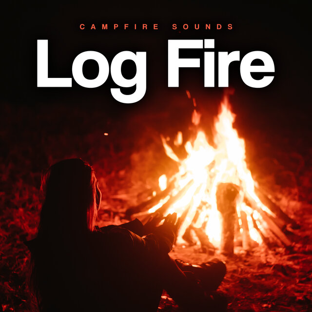 Log Fire