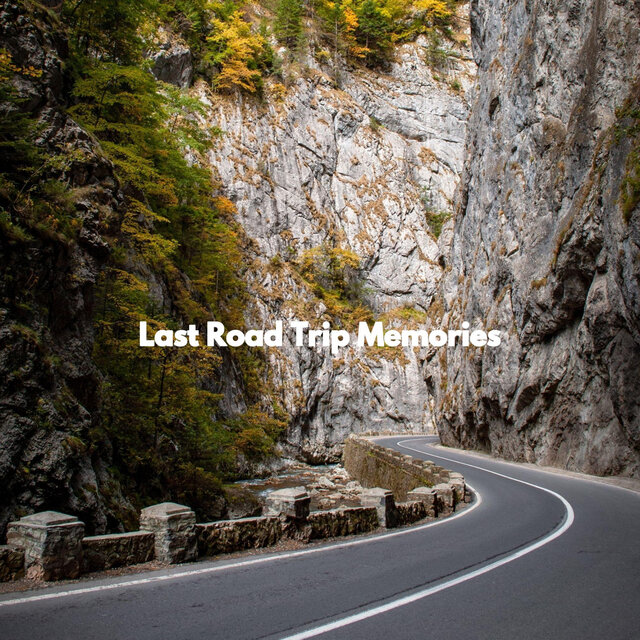 Last Road Trip Memories