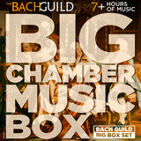 Anton Bruckner: String Quintet in F, WAB112: IV. Adagio