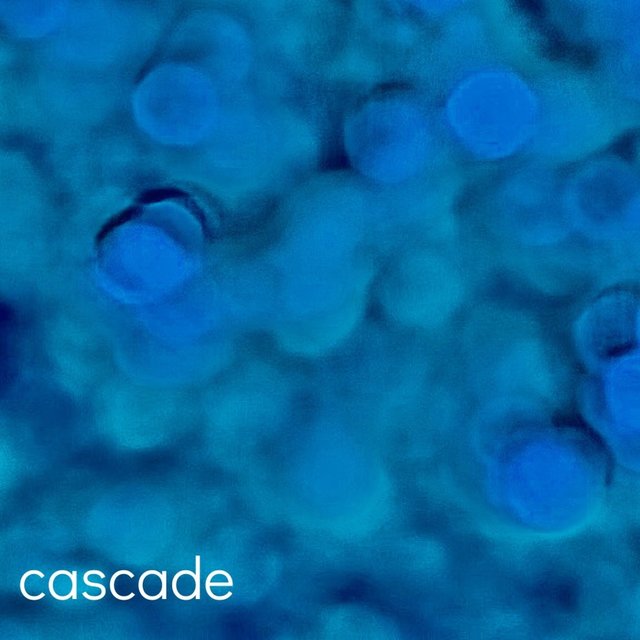 Plastic Ocean (Deluxe)