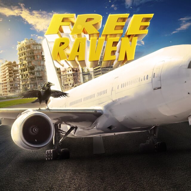 free raven