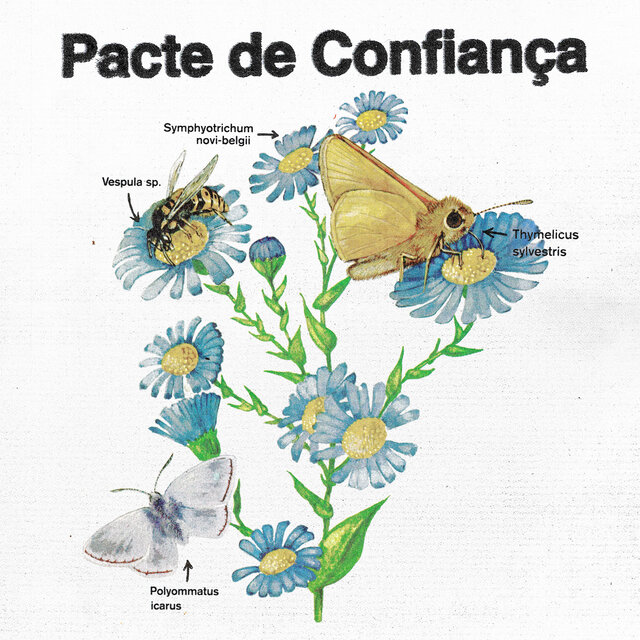 Un pacte de confiança